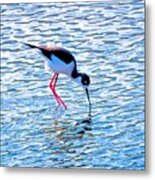 Bird Stilt Metal Print