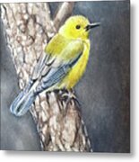 Bird With Yellow Head Metal Print
