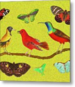 Birds And Butterfies Metal Print