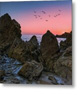 Birds Of A Feather Pink Sunset Metal Print