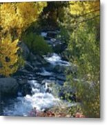 Fall Color And Sun Rays On Bishop Creek Metal Print