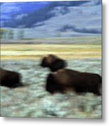 Bison 5b Metal Print