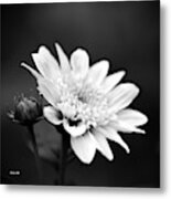 Black And White Flower Metal Print