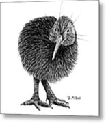 Black And White Kiwi Bird Of New Zealand Metal Print
