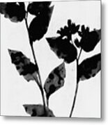 Black And White Moody Floral Metal Print