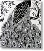 Black And White Peacock Metal Print