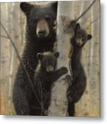 Black Bear Mother And Cubs - Mama Bear Metal Print