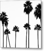 Black California Series - Palm Trees L.a Metal Print