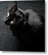 Black Cat On A Black Mat Metal Print