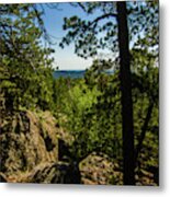 Black Hills Img 6401 Metal Print