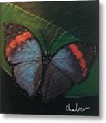 Blessed Butterfly Metal Print