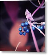 Blu Berries Metal Print