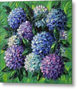 Blue And Purple Hydrangeas Metal Print