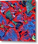 Blue And Red Poinsettias Metal Print