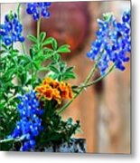 My Bluebonnet Garden Metal Print