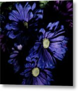 Blue Chrysanthemum Metal Print