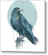 Blue Crow Metal Print