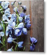 Blue Delphiniums Metal Print