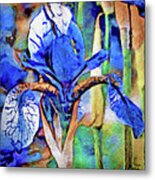 Blue Dutch Iris Metal Print