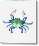 Blue, Green, Red Crab Metal Print