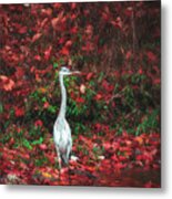 Blue Heron And Red Autumn Leaves Metal Print