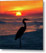 Blue Heron Beach Sunset Metal Print