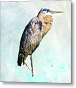 Blue Heron Illustration Metal Print