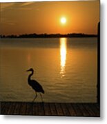 Blue Heron On The Dock At Sunset Metal Print