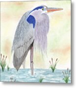 Blue Heron Standing Metal Print