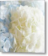 Blue Hydrangea Metal Print