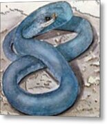 Blue Racer Snake Metal Print