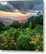 Blue Ridge Parkway Asheville Nc Wildflower Sunset Scenic Metal Print