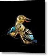 Blue Winged Kookaburras On Black Metal Print