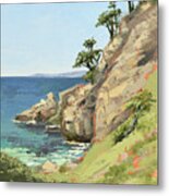 Bluefish Cove - Point Lobos Metal Print