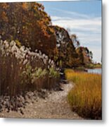 Bluff Point Stroll Metal Print