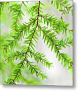 Botanical Abstract Metal Print