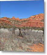 Boynton Canyon #1 Metal Print