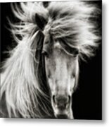 Breeze Metal Print