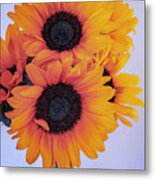 Bright And Beautiful Sunflowers 5 Metal Print