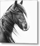 Brodie Ii - Horse Art Metal Print