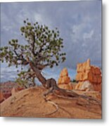 Bryce Canyon National Park - Nothing Can't Break Me Metal Print