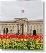 Buckingham Palace Tulips Metal Print