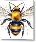 Bumblebee Close Up Watercolor Illustration Hand Drawn Fluffy Str Metal Print