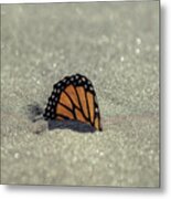 Buried Butterfly Metal Print