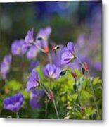 Busy Bee Metal Print