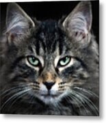 Butch's Portrait Metal Print