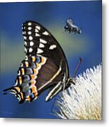 Butterfly And Bee #1068 Metal Print