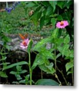 Butterfly Garden Metal Print