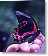 Butterfly In Hand Metal Print