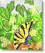 Butterfly Metal Print